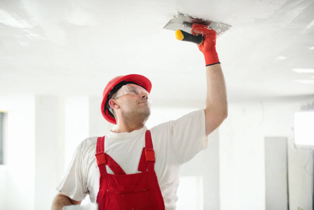 Best Drywall Installation  in North Bay Shore, NY